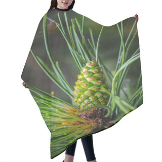Personality  Pine With Cone Hair Cutting Cape