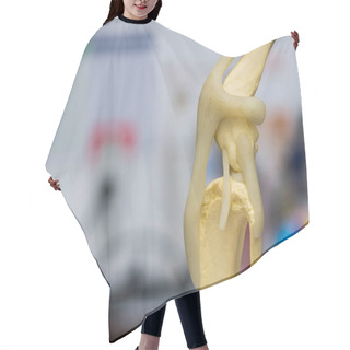 Personality  Dog Knee Mold Side View And Blurred Background Hair Cutting Cape