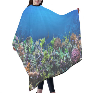 Personality  Coral Reef Hair Cutting Cape