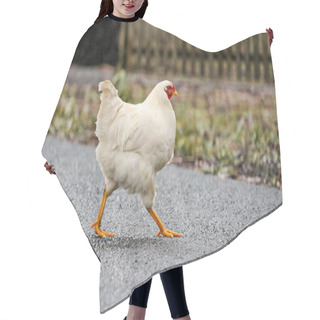 Personality  White Hen Crossing The Road  Hair Cutting Cape