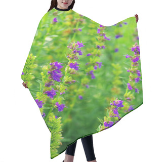 Personality  Hyssop Plant In The Garden Hair Cutting Cape