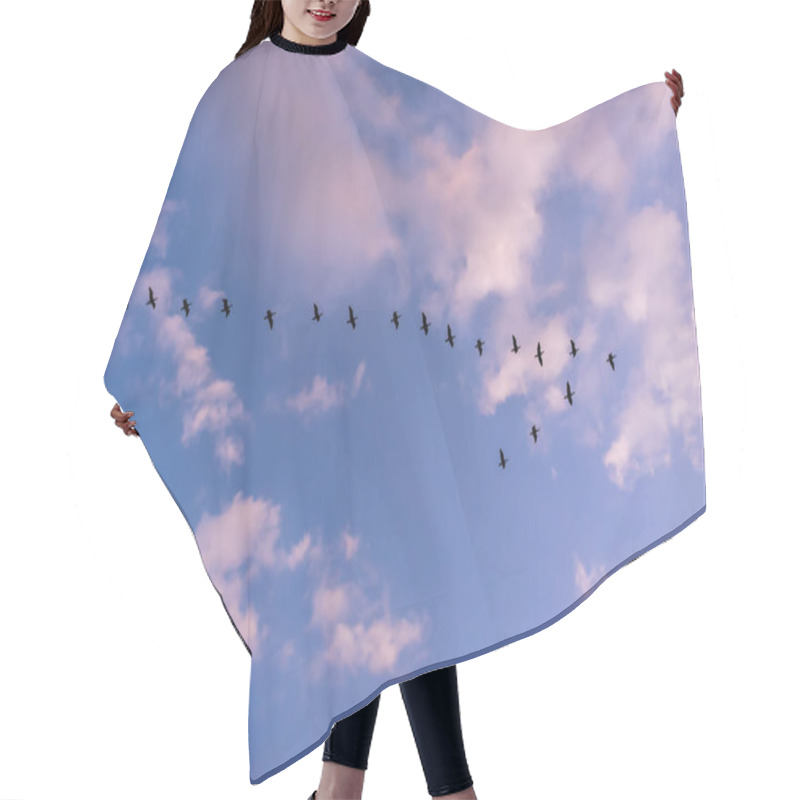 Personality  Birds Flying In V Shape Line And Blue Sky Background In Kuwait Hair Cutting Cape