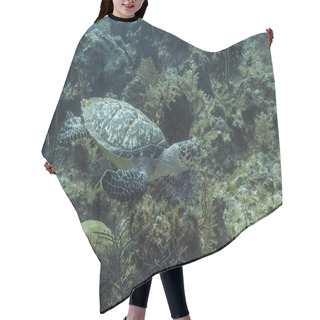 Personality  Chilling Turtle Hair Cutting Cape