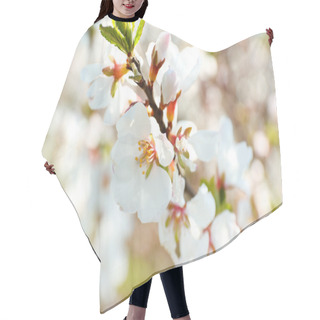Personality  Blooming Spring Twigs Close Up Hair Cutting Cape