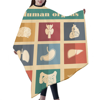 Personality  Icons Of Human Organs Hair Cutting Cape