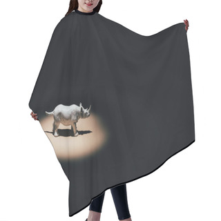 Personality  White Toy Rhinoceros Under Spotlight On Black Background  Hair Cutting Cape