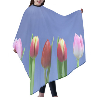 Personality  Blooming Spring Tulips Flowers Hair Cutting Cape