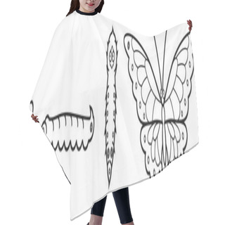 Personality  Coloring Page. Four Stages Of Butterfly Development Hair Cutting Cape