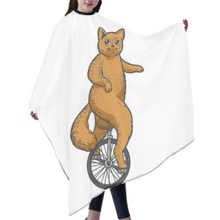 Personality  Unicycle Cat Color Sketch Raster Illustration Hair Cutting Cape