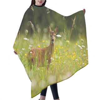 Personality  Roe Deer Chewing Green Leaves Hair Cutting Cape