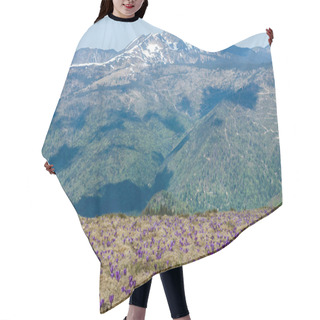 Personality  Romania Hair Cutting Cape