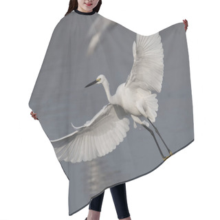 Personality  The Little Egret Hair Cutting Cape