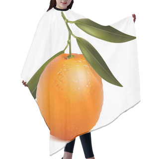 Personality  Mandarin With Leaves. Hair Cutting Cape