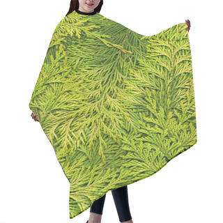 Personality  Texture Light Green Arborvitae Hair Cutting Cape