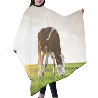 Personality  Cow Grazing In Fresh Pastures Hair Cutting Cape