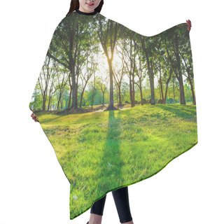 Personality  Sunset Light On Tree With Green Meadow At City Park Hair Cutting Cape