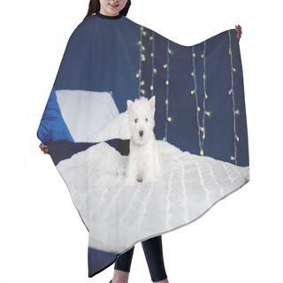 Personality  West Highland White Terrier Puppy On A Bed. Christmas Scenery And Interior Hair Cutting Cape