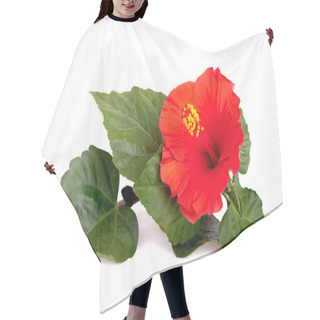 Personality  Red Hibiscus Hair Cutting Cape