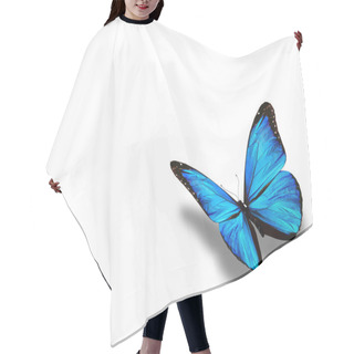 Personality  Blue Butterfly, Isolated On White Hair Cutting Cape