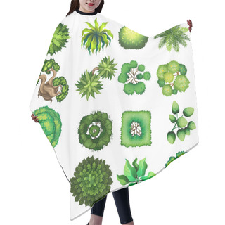 Personality  Top View Of Different Kind Of Plants Hair Cutting Cape