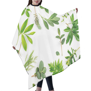 Personality  Varied Forest Grass And Leaves On White Background. Hair Cutting Cape