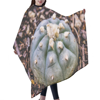 Personality  Peyote Cactus Plant   Hair Cutting Cape