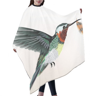 Personality  Background With Colorful Hummingbird Hair Cutting Cape