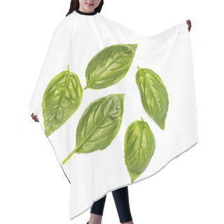 Personality  Composition Of Basil Leaves  Hair Cutting Cape
