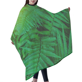 Personality  Fern Green Leaves In Forest On Sunlight Hair Cutting Cape