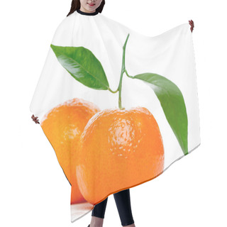 Personality  Tangerines With Leaves Isolated Over White Hair Cutting Cape