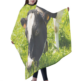 Personality  Cow Eating Green Grass On A Meadow Hair Cutting Cape