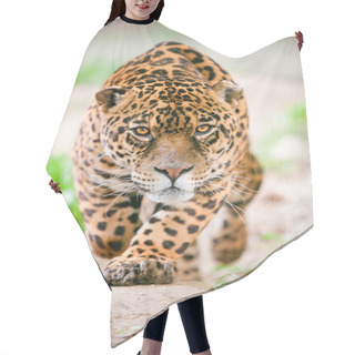 Personality  Aggressive Wild Jaguar Coming To Get You Hair Cutting Cape