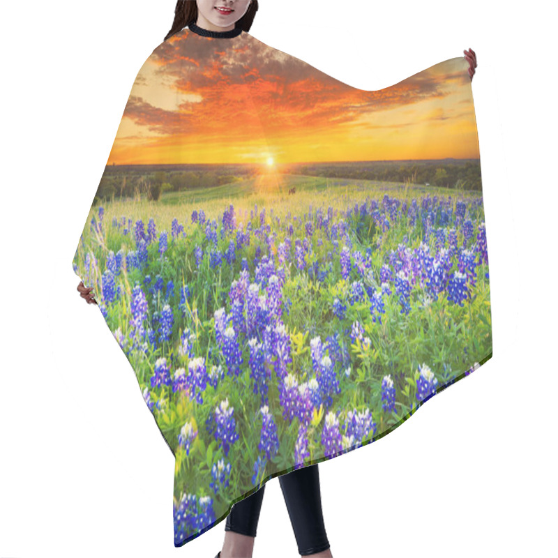 Personality  Texas pasture filled with bluebonnets at sunset hair cutting cape