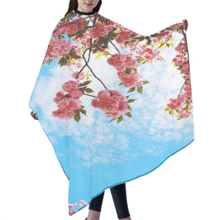 Personality  Japanese Cherry Hair Cutting Cape