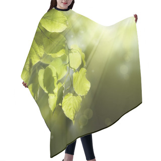 Personality  Art Butterfly On Spring Leaves Hair Cutting Cape