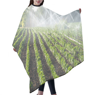 Personality  Irrigation Of Vegetables Hair Cutting Cape