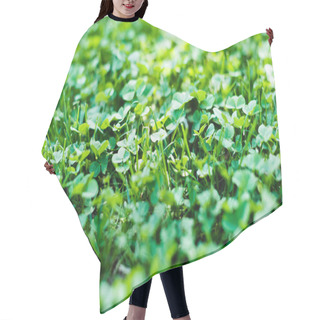 Personality  Green Summer Meadow With Clover Plants Hair Cutting Cape