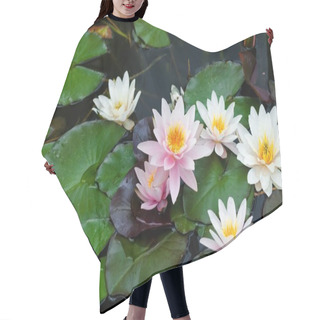 Personality  Beautiful Lotus Flower Hair Cutting Cape