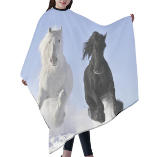 Personality  White And Black Horse Hair Cutting Cape