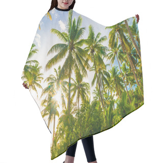 Personality  Beautiful Beach With Coconut Palm Tree Hair Cutting Cape