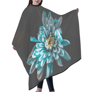 Personality  Top View Of Blue And White Flower, Isolated On Black Hair Cutting Cape