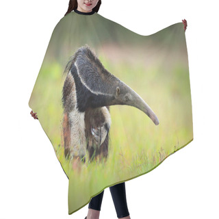 Personality  Anteater, Cute Animal From Brazil  Hair Cutting Cape