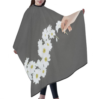 Personality  Top View Of Cropped Female Hand With Daisies Over Black Background Hair Cutting Cape