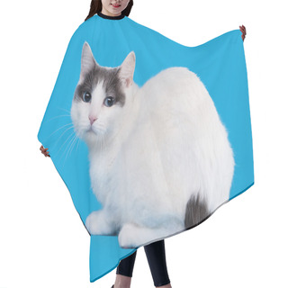 Personality  Bicolor Japanese Bobtail On Sky Blue Background Hair Cutting Cape
