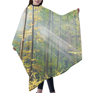 Personality  Lights Of The Autumn Forest Hair Cutting Cape