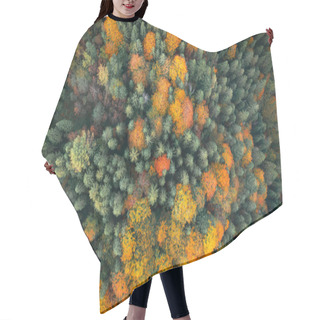 Personality  Orange And Red Autumn Trees In Colorful Forest Hair Cutting Cape