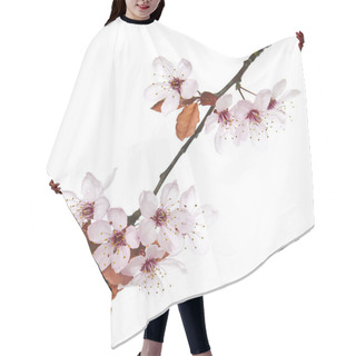 Personality  Seasonal Cherry Blossoms Hair Cutting Cape