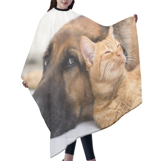 Personality  German Shepherd Dog And Cat Together Hair Cutting Cape