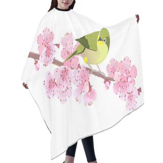 Personality  Japanese Nightingale On A Branch Of Cherry Blossoms. Hanami In Japan. Pink Sakura And Uguisu. Songbird Symbol Of Spring And Love Isolated On A White Background. Vector Illustration. Hair Cutting Cape