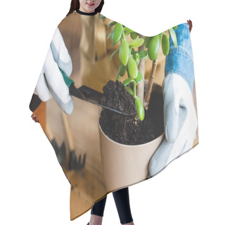 Personality  Cropped Of Woman In Gloves Holding Shovel With Ground While Transplanting Plant With Green Leaves  Hair Cutting Cape